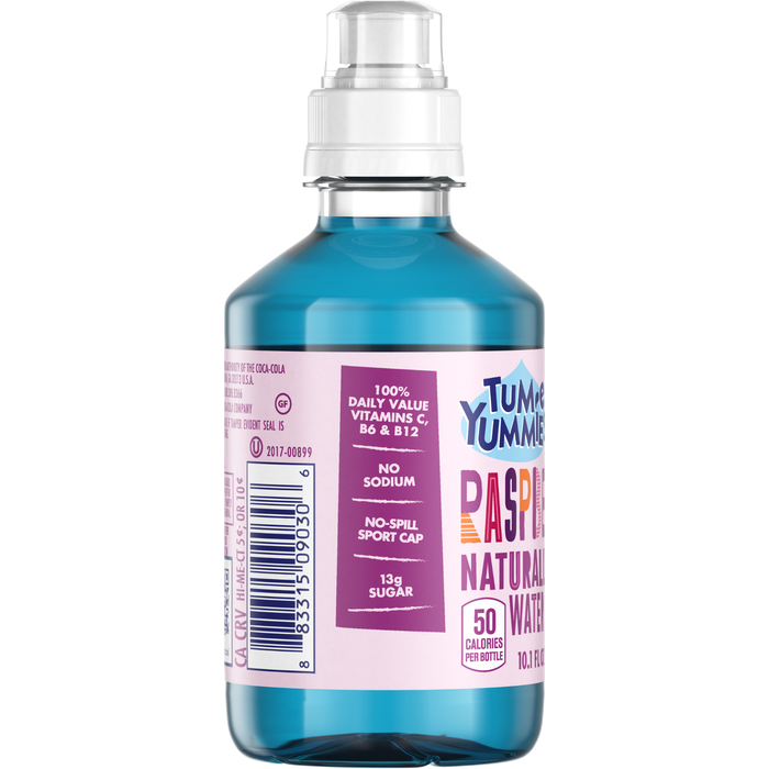 Rad Raspberry Zing Juice by Tum-E Yummies, 10.1 oz, Pack of 12 - Tum-e Yummies