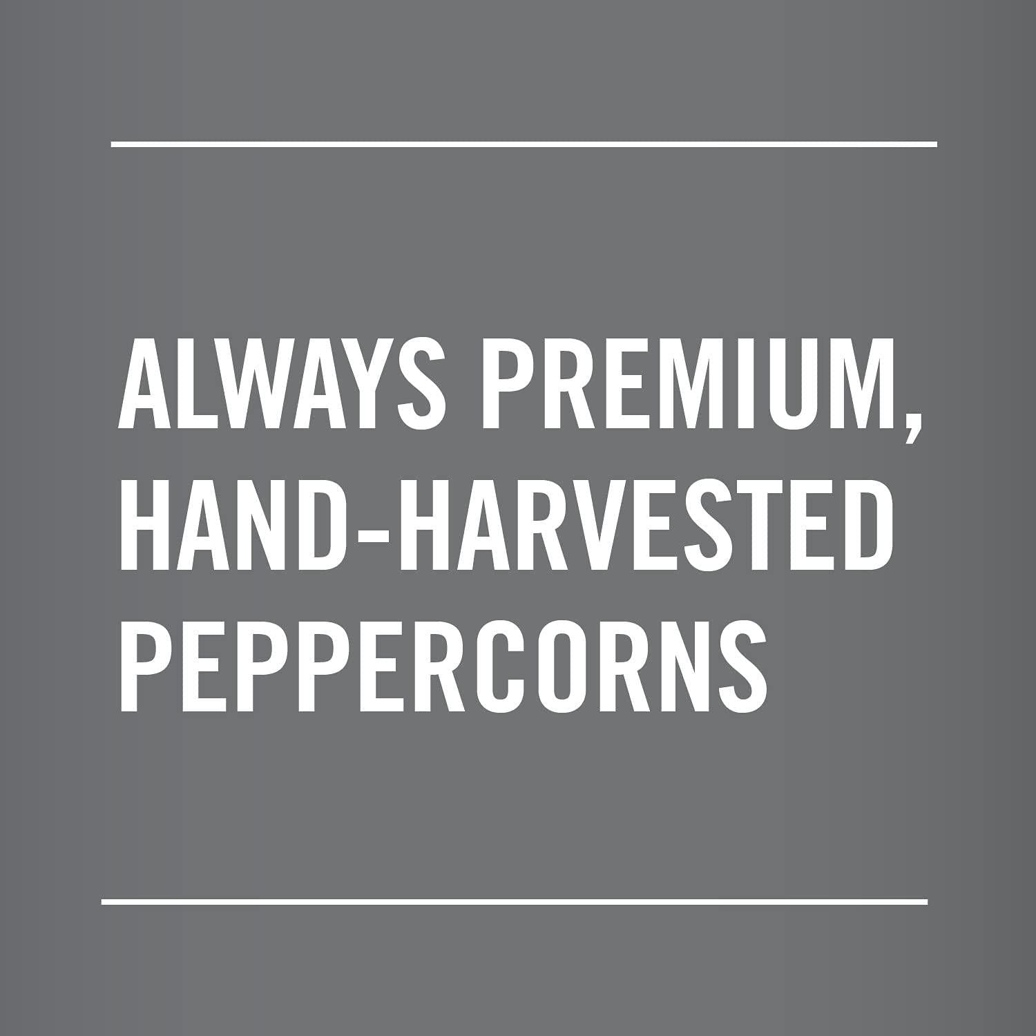 McCormick Premium Whole Black Peppercorns, 1.87 oz - McCormick