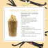 Monin - French Vanilla Syrup 750 ml - Monin
