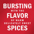 McCormick Apple Pie Spice Blend, 1.12 oz, 6-Pack - McCormick