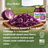 Aunt Nellie's Sweet and Sour Red Cabbage, Traditional Style Recipe, 16 Fl Oz, 4 Pack