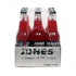 Jones Soda Co. Strawberry Lime 12 oz Pack of 12 Glass Bottle