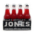 Jones Soda Co. Strawberry Lime 12 oz Pack of 12 Glass Bottle