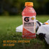 Gatorlyte Rapid Rehydration Electrolyte Beverage, Orange, 20oz Bottles (12 Pack) - Gatorade