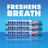 Mentos Chewy Mint Candy Roll, Peppermint, Peanut Free, Regular Size, 1.32 oz, 6 Count - Mentos