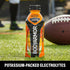 BODYARMOR Hydration Sports Drink - Orange Mango Flavor, 12 Fl Oz (Pack of 8) - BODYARMOR