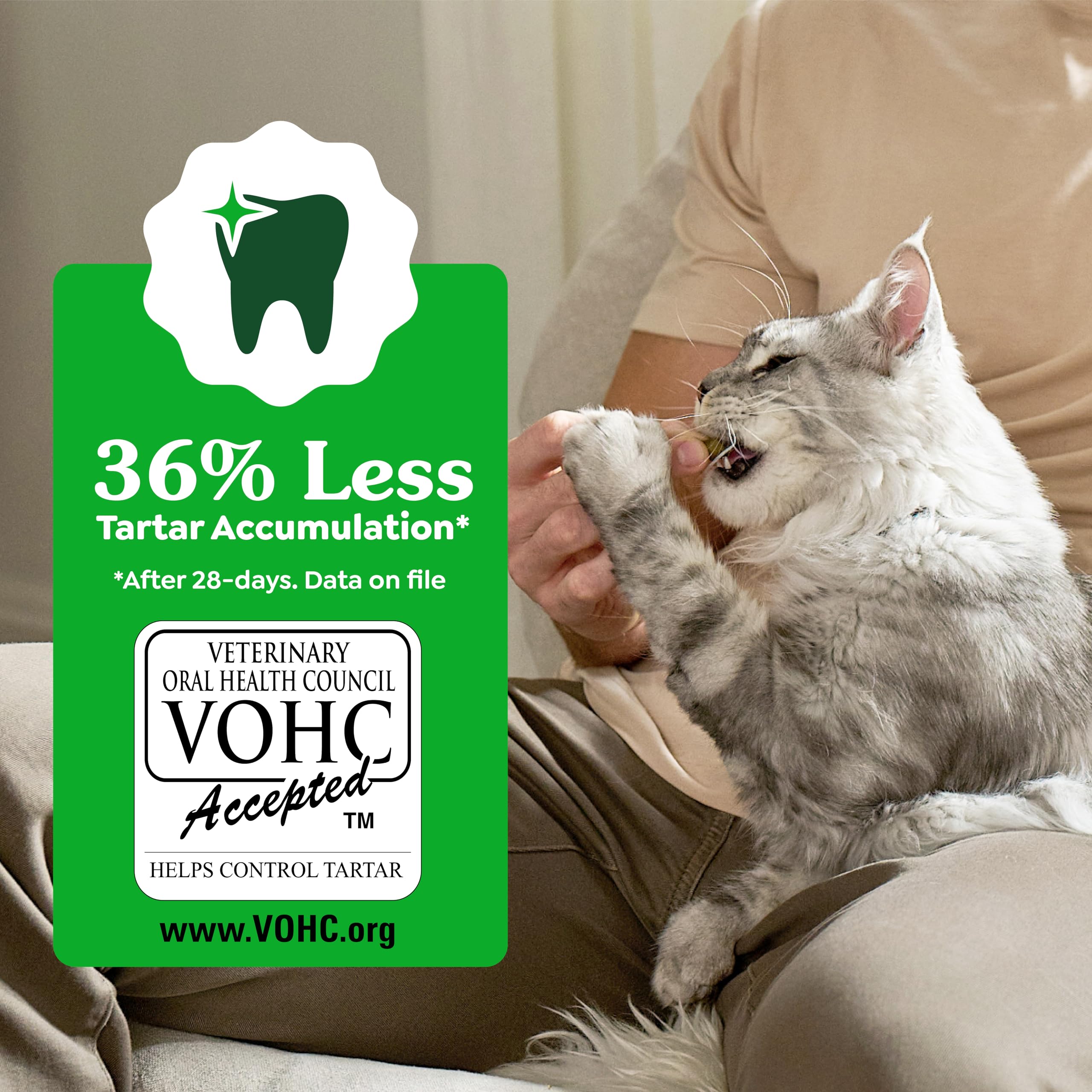 GREENIES Feline Veterinarian-Recommended Adult Natural Denta, 9.75 OZ