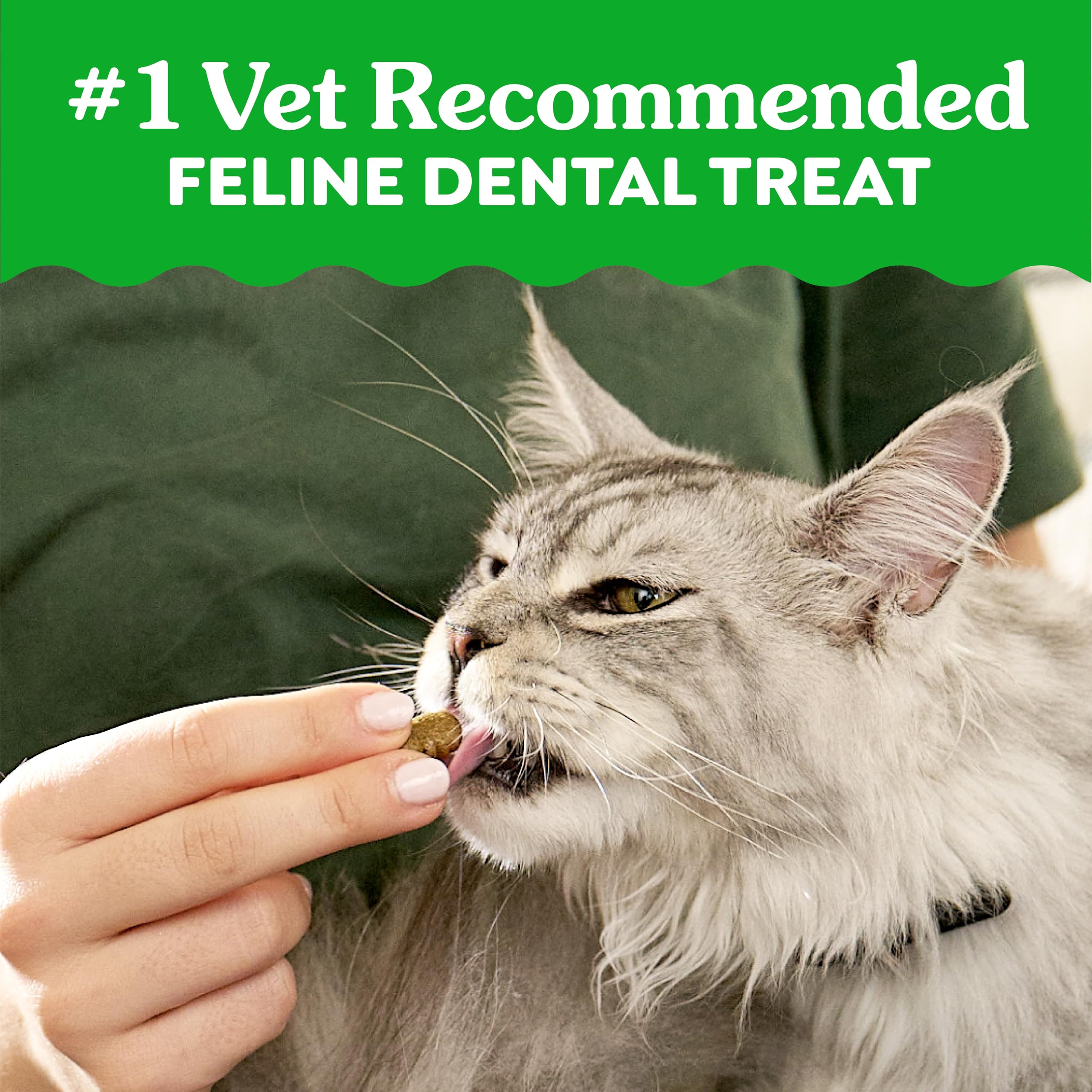 GREENIES Feline Veterinarian-Recommended Adult Natural Denta, 9.75 OZ
