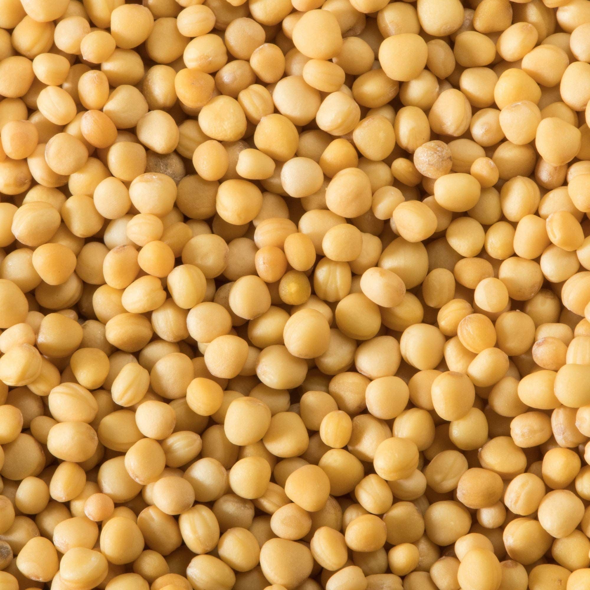 McCormick Premium Yellow Mustard Seeds, 1.4 oz – Non-GMO Flavor Enhancer for Pickling and Cooking - McCormick