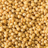 McCormick Premium Yellow Mustard Seeds, 1.4 oz – Non-GMO Flavor Enhancer for Pickling and Cooking - McCormick