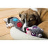 Hartz HZ SQUEAKERZ DOG TOY - Hartz