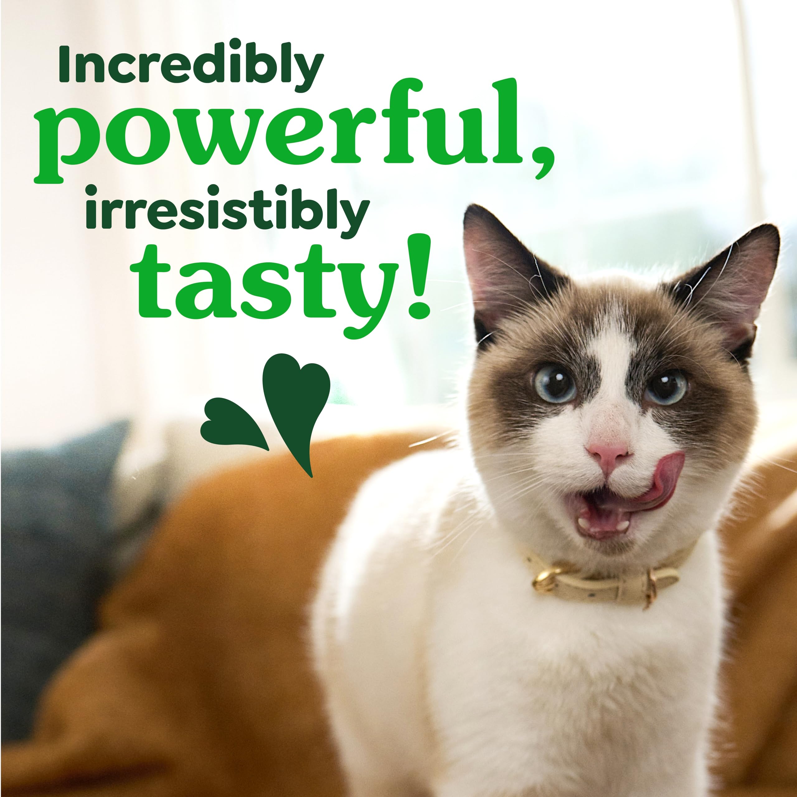 GREENIES Feline Veterinarian-Recommended Adult Natural Denta, 9.75 OZ