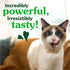 GREENIES Feline Veterinarian-Recommended Adult Natural Denta, 9.75 OZ