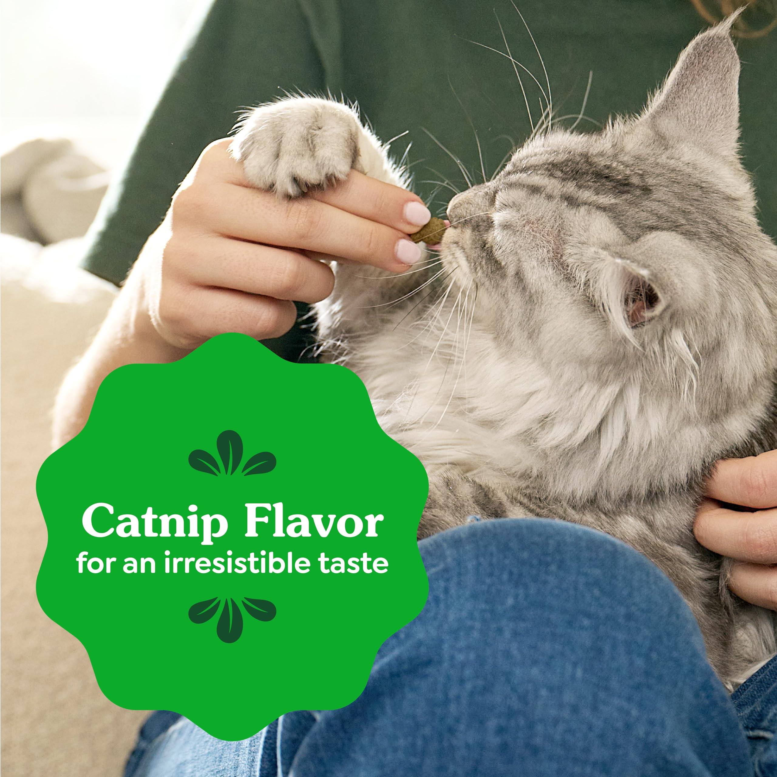 GREENIES Feline Veterinarian-Recommended Adult Natural Denta, 9.75 OZ