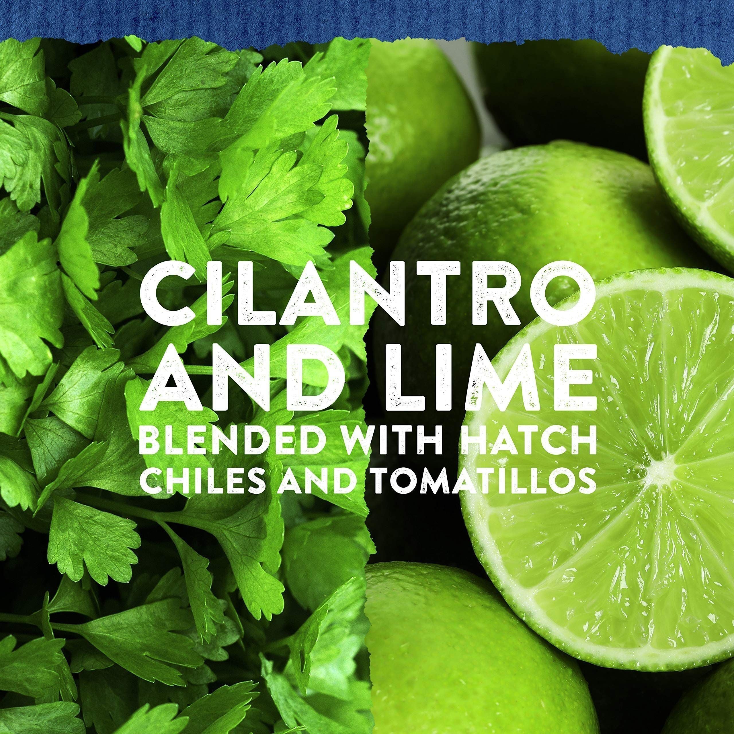 Best Foods Gluten-Free Cilantro Lime Dressing, 9 oz Bottle - Best Foods