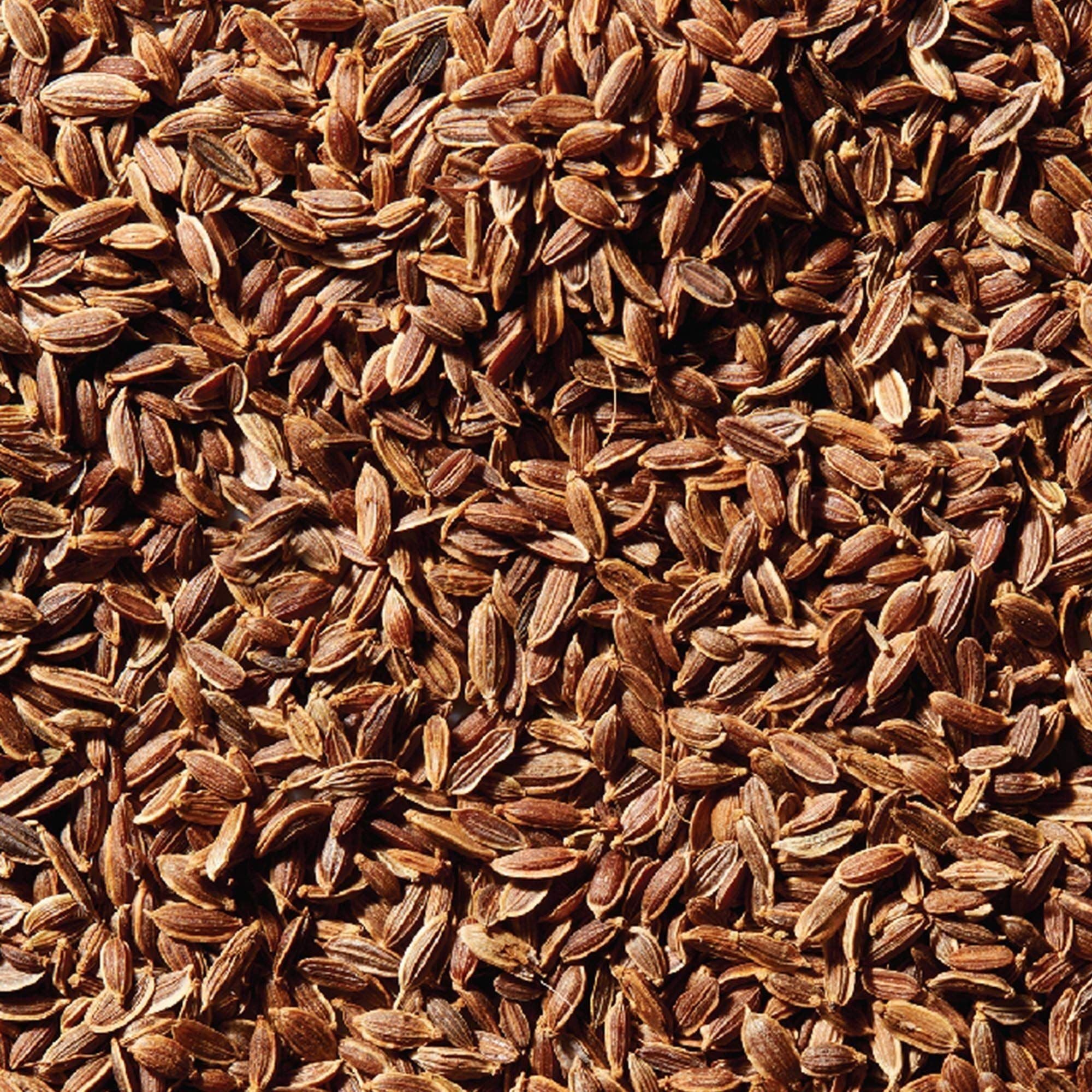 McCormick Hand-Selected Dill Seeds, 0.85 oz - McCormick