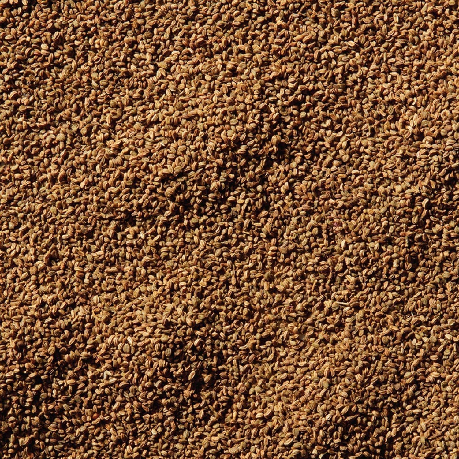 McCormick Premium Celery Seed, 0.95 oz - Enhance Your Dishes with Earthy Flavor - McCormick