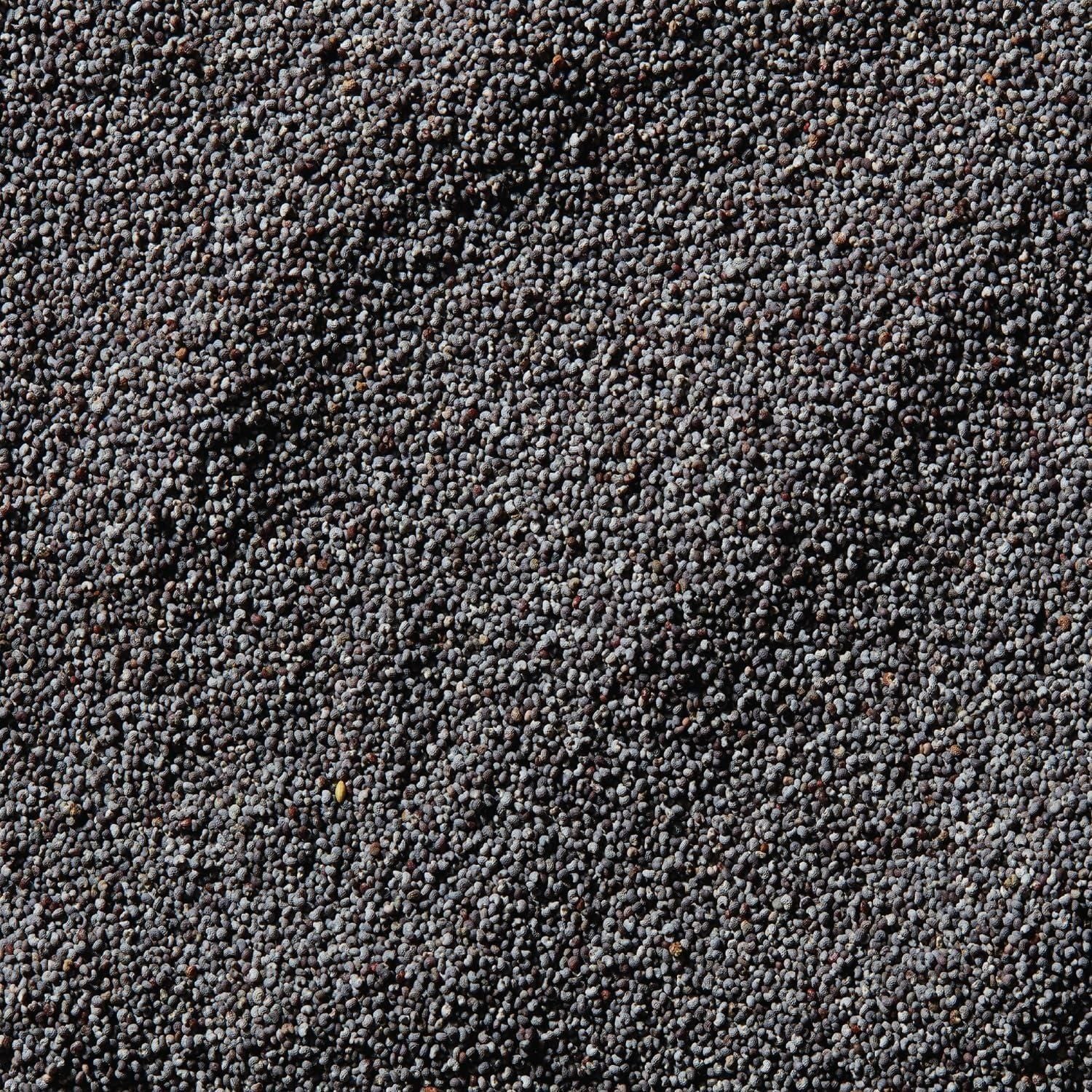 McCormick Gourmet Slate-Blue Poppy Seeds, 1.25 oz - McCormick