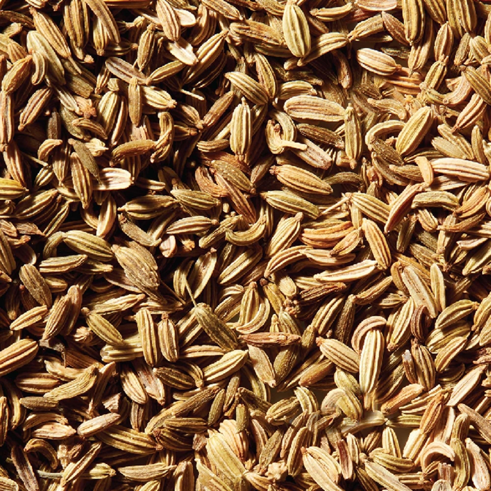McCormick Fennel Seeds, 0.85 oz - Spice and Herb Blend - McCormick