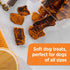 Rachael Ray Nutrish Turkey Bites Turkey Recipe With Hickory Smoke Bacon Flavor Dog Treats, 12 oz. Pouch - Rachael Ray