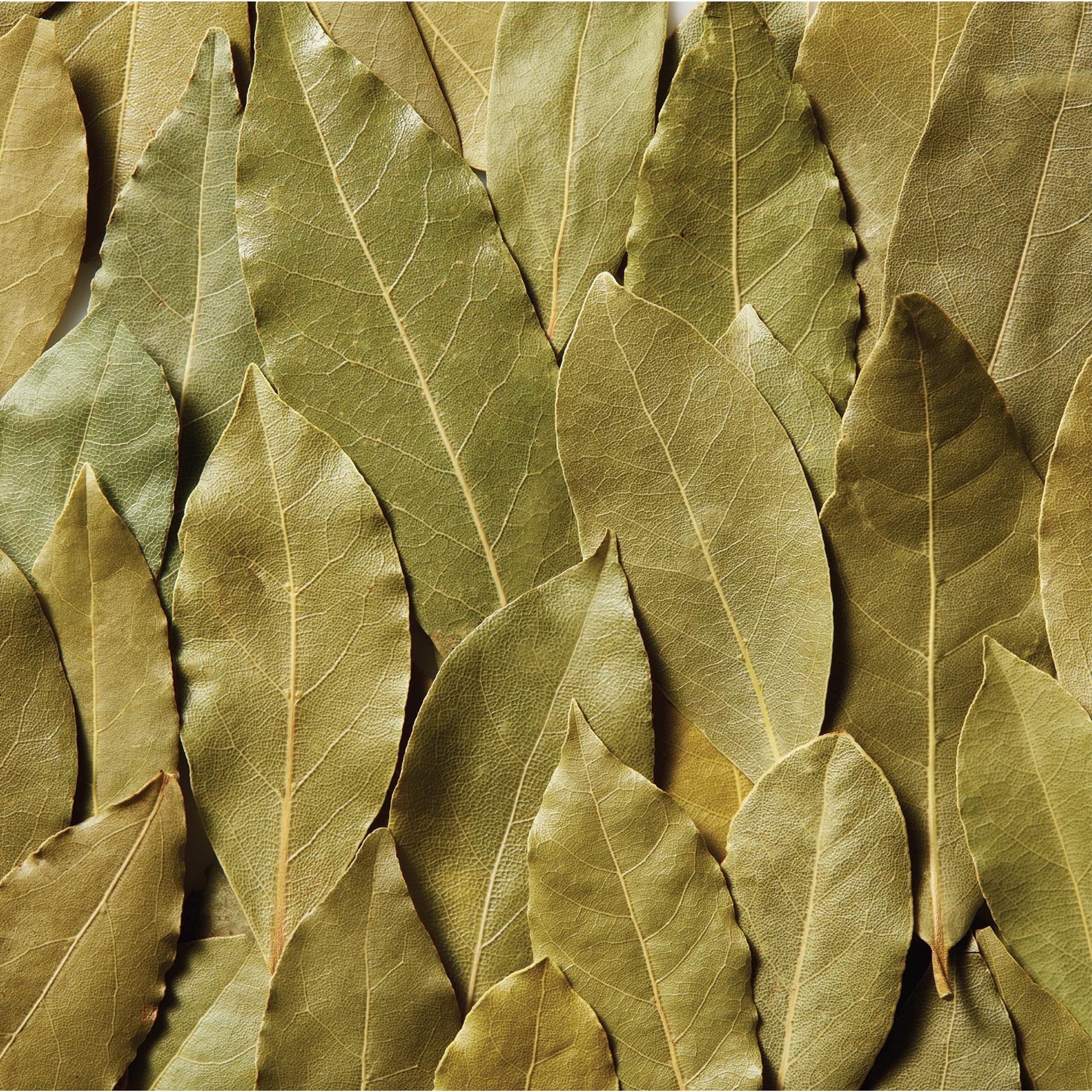Turkish Bay Leaves by McCormick, 0.12 oz - McCormick