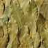 Turkish Bay Leaves by McCormick, 0.12 oz - McCormick
