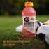 Gatorlyte Electrolyte Drink for Rapid Rehydration, Strawberry Kiwi Flavor, 20oz Bottles (12 Count) - Gatorade